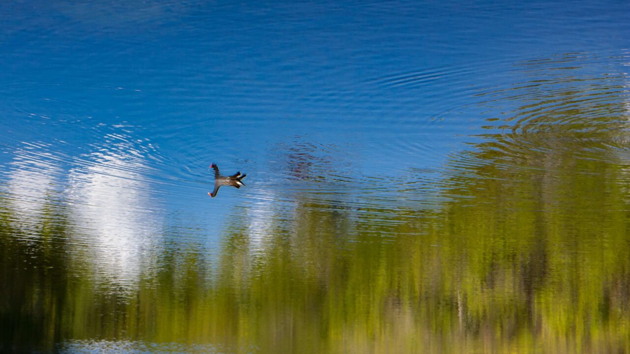 lake
