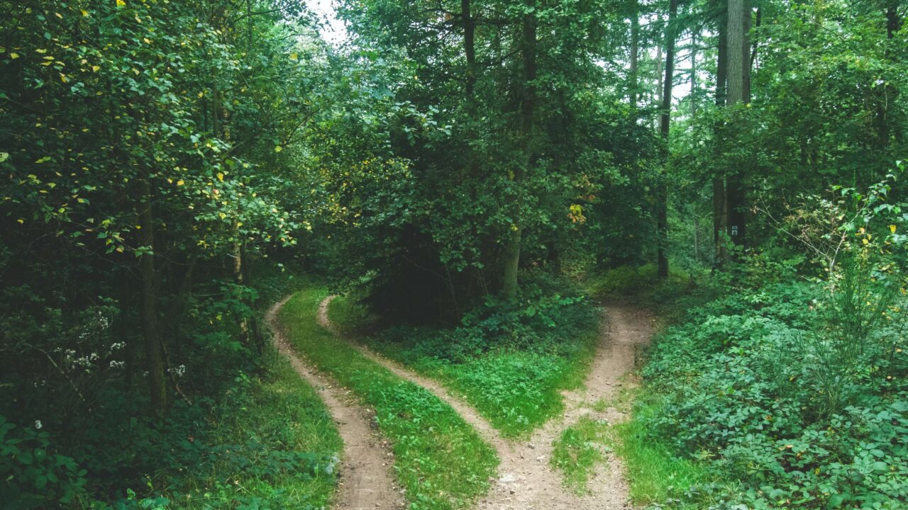 which_way