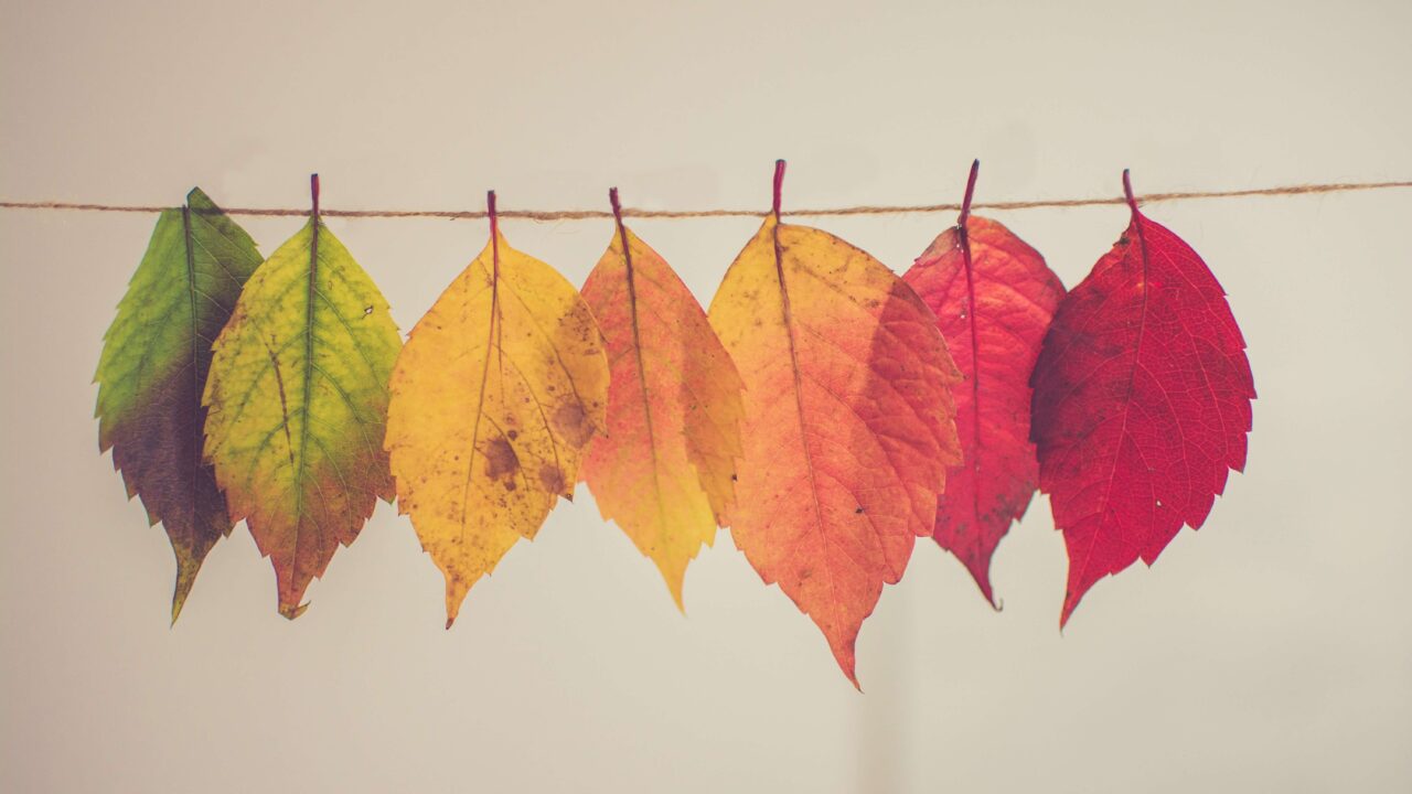 change_color
