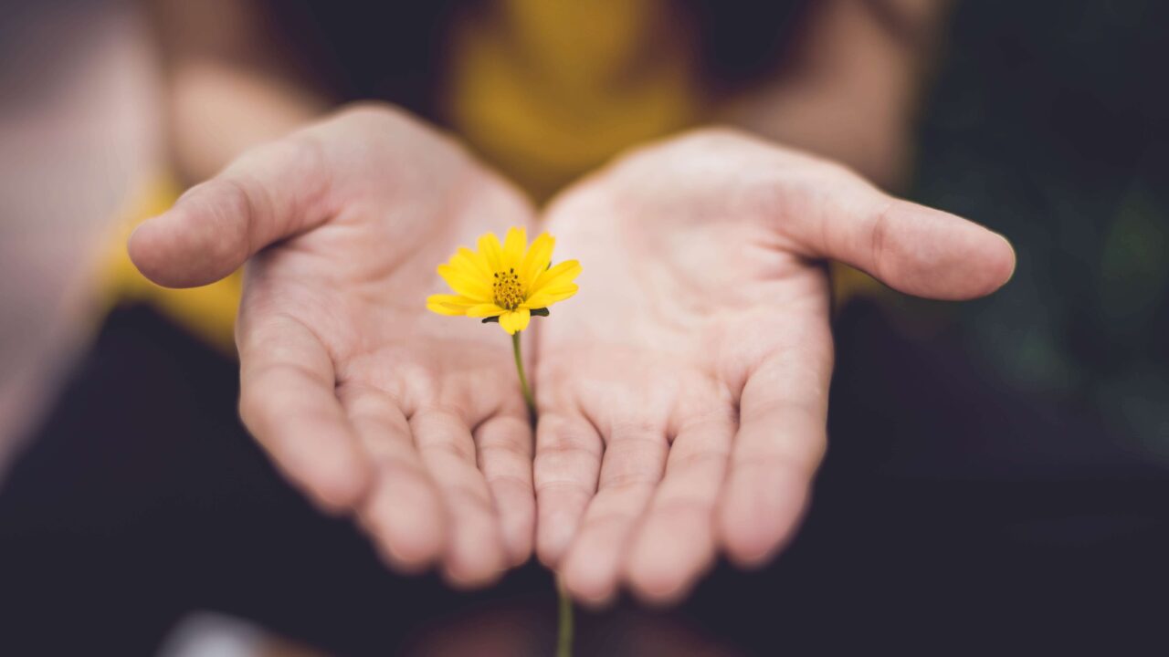 give_flower