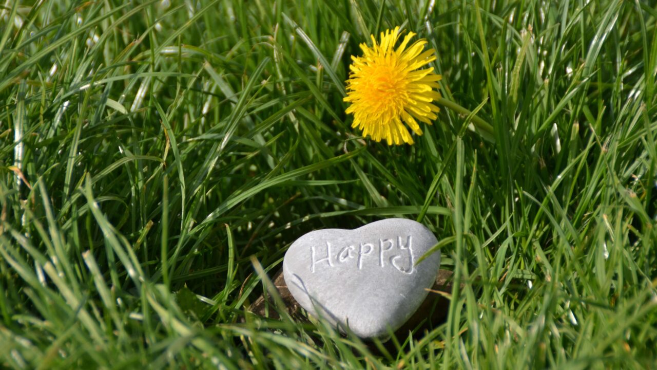 flower_happy
