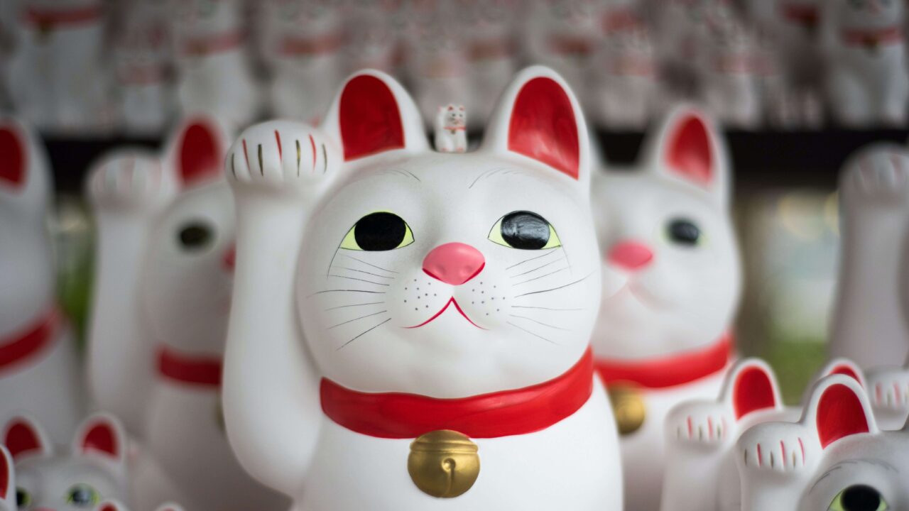 cats_lucky