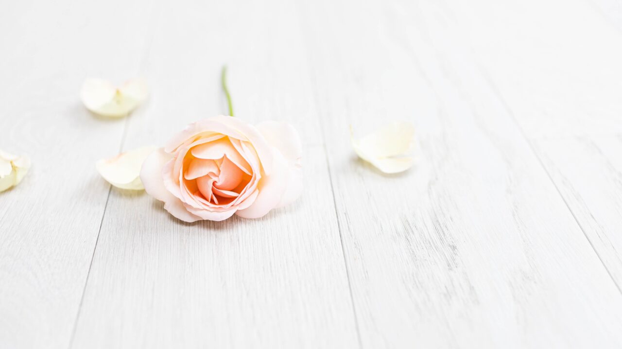 rose_onthefloor