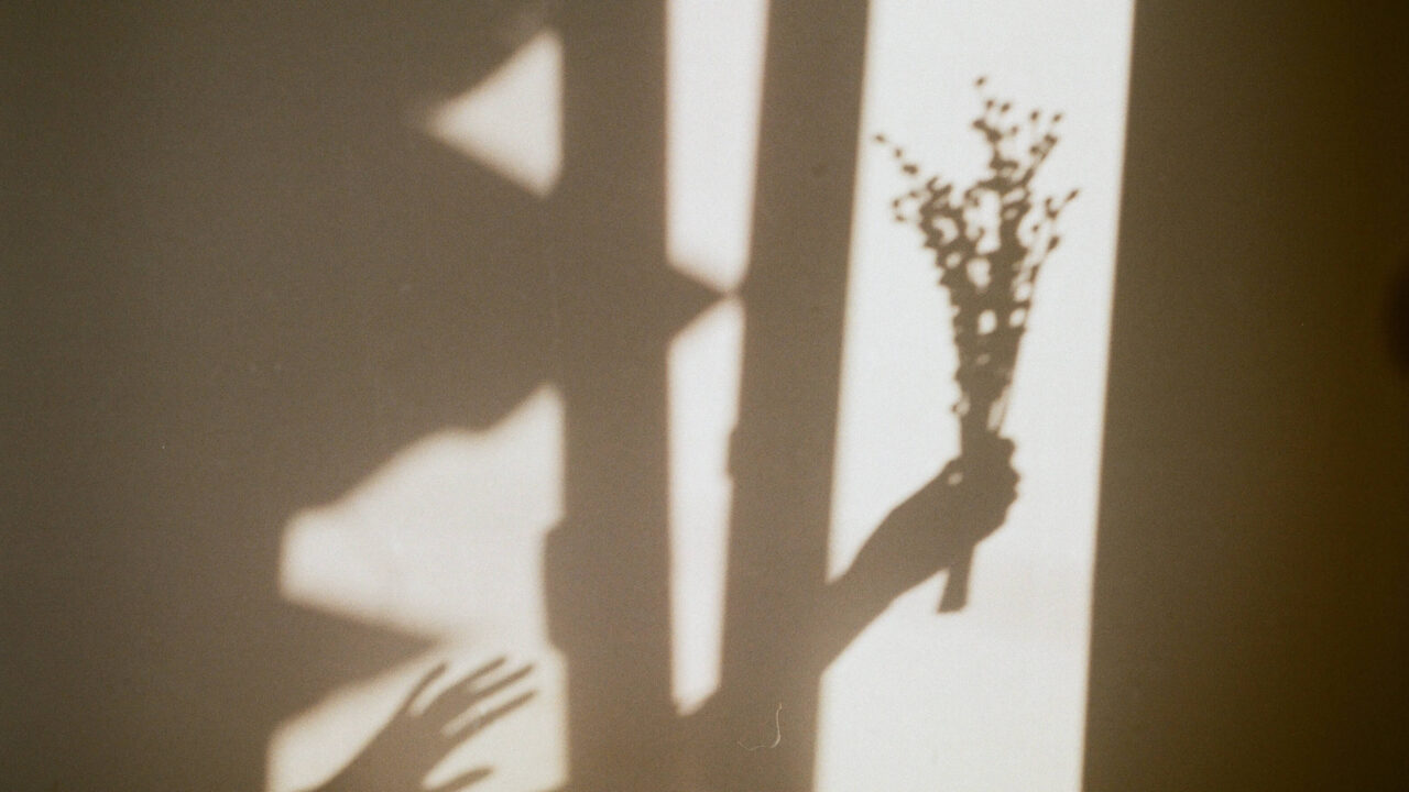 flower_shade