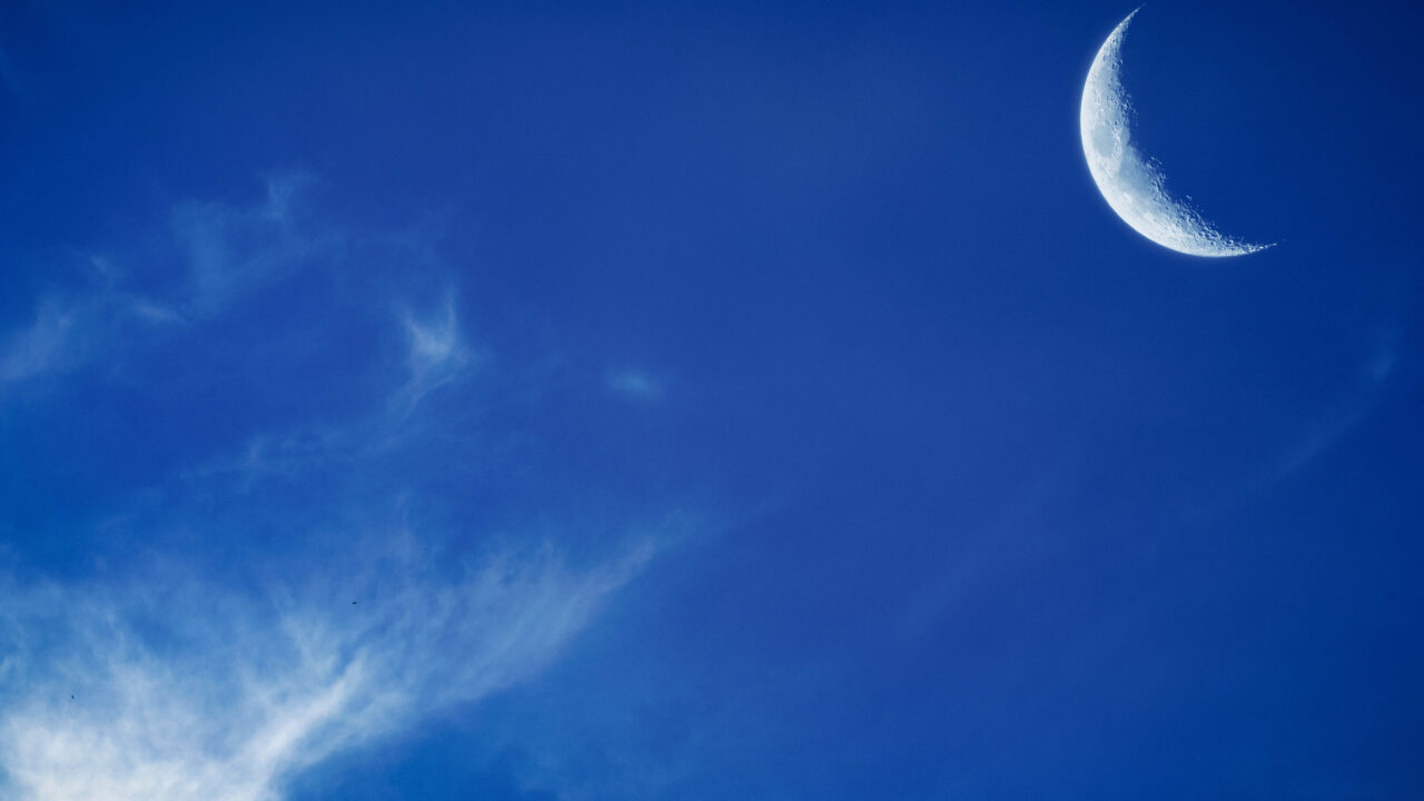 moonlight_morning