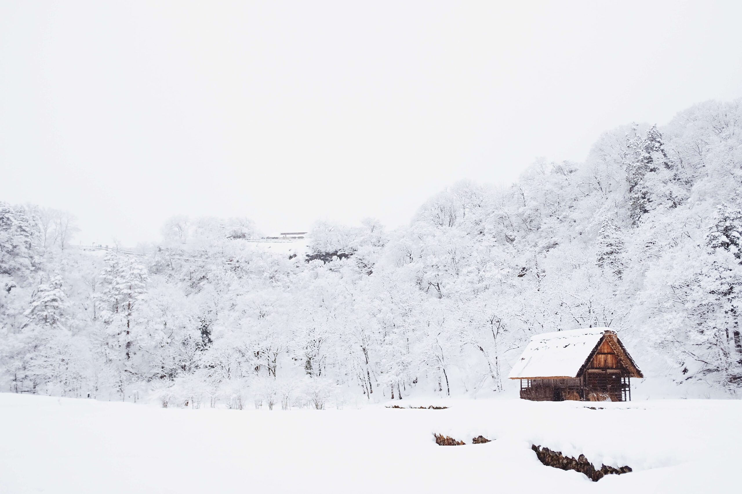 winter_japan