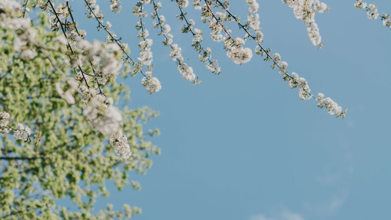 sky_green